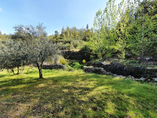 Image No.17-Plot for sale