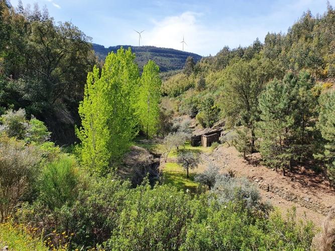 Image No.19-Plot for sale