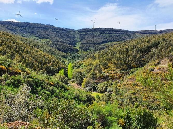 Image No.20-Plot for sale