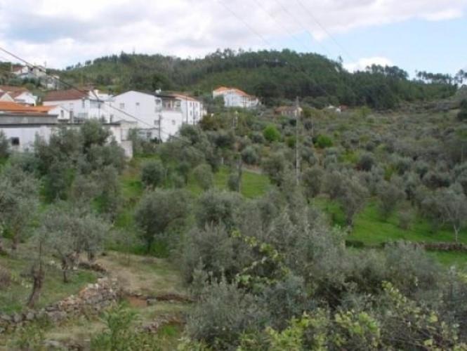 Image No.14-3 Bed Farmhouse for sale