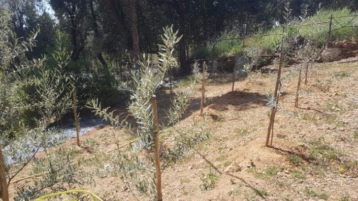 Image No.11-2 Bed Plot for sale