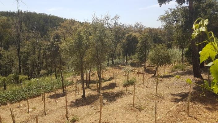 Image No.20-2 Bed Plot for sale