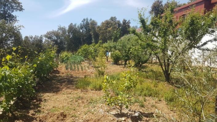 Image No.21-2 Bed Plot for sale