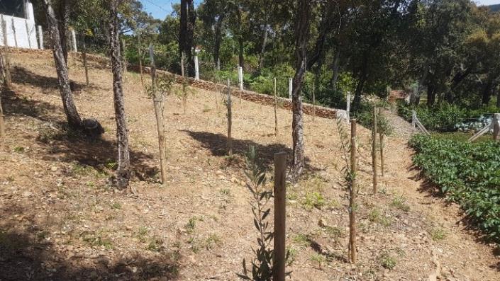 Image No.23-2 Bed Plot for sale