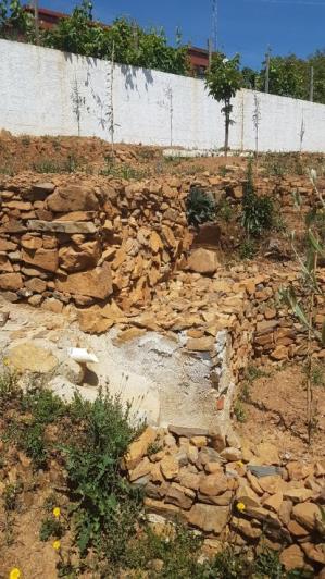 Image No.25-2 Bed Plot for sale