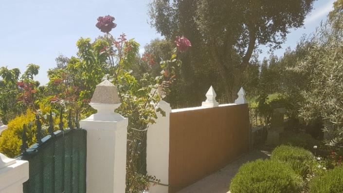 Image No.34-2 Bed Plot for sale