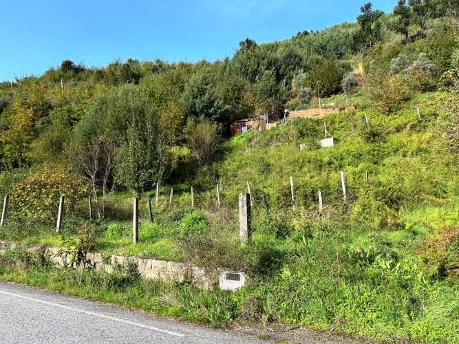 Image No.3-Plot for sale