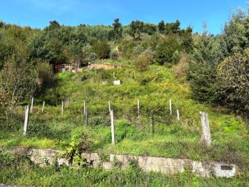 1 - Oliveira do Hospital, Terrain