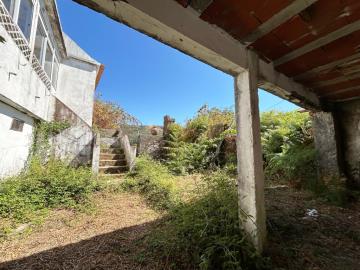 3---221--NEW---Medium-