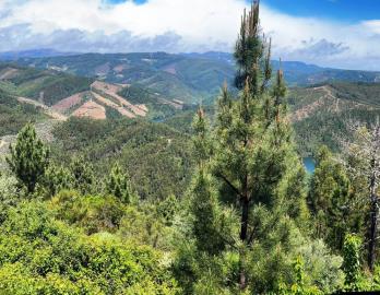 10---1088--NEW---Medium-