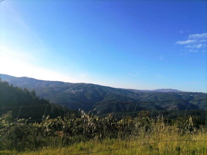 Image No.12-Country House for sale