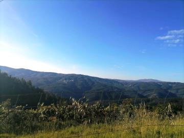 11---1088--NEW---Medium-