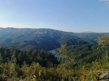 12---1088--NEW---Medium-