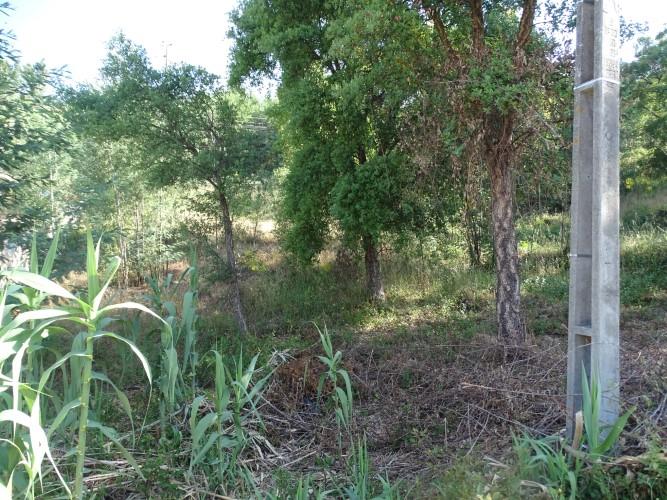 Image No.4-Land for sale