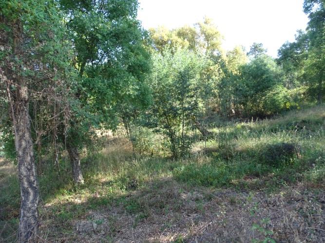 Image No.5-Land for sale