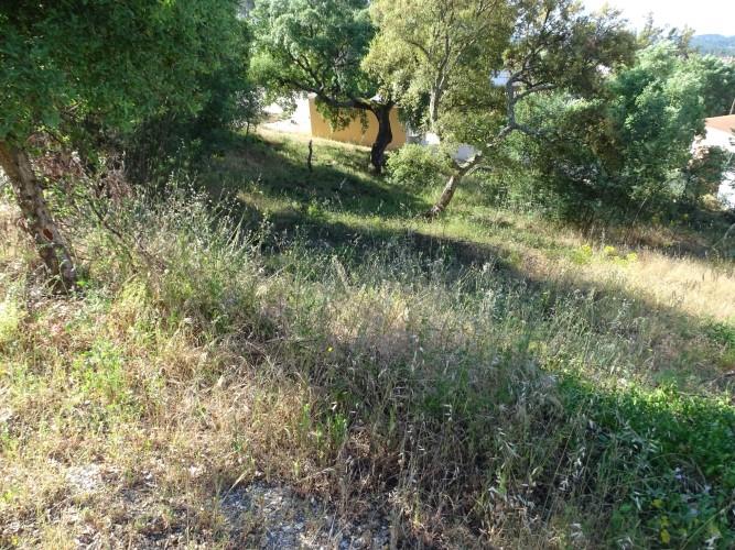 Image No.14-Land for sale