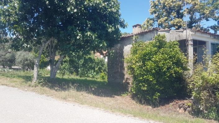 Image No.5-Village House for sale