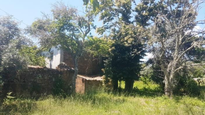 Image No.13-Village House for sale