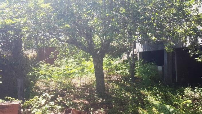 Image No.19-Village House for sale