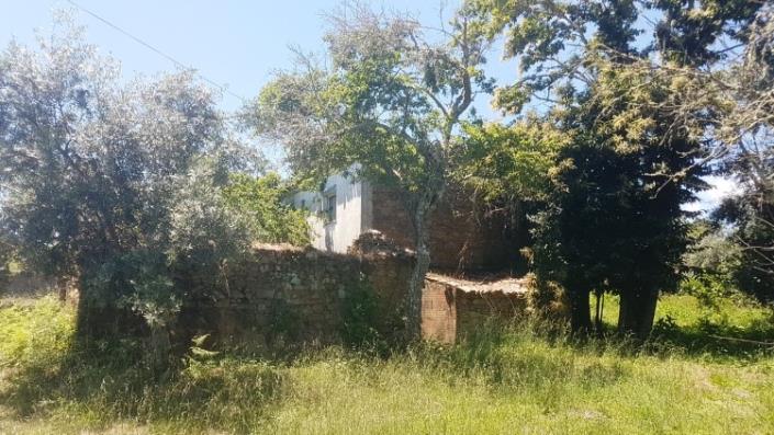 Image No.31-Village House for sale