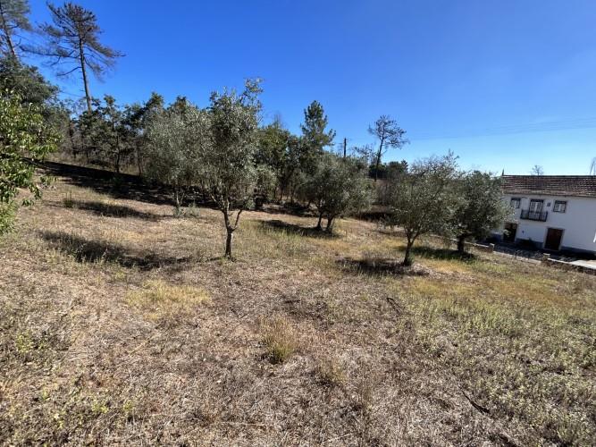 Image No.32-4 Bed House for sale