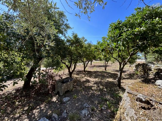 Image No.33-4 Bed House for sale