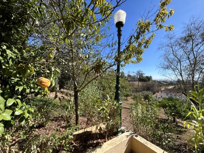 Image No.35-4 Bed House for sale