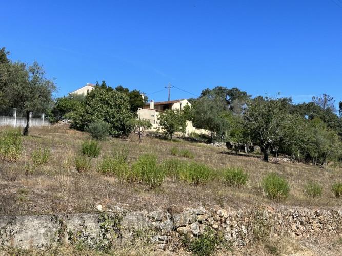 Image No.42-4 Bed House for sale