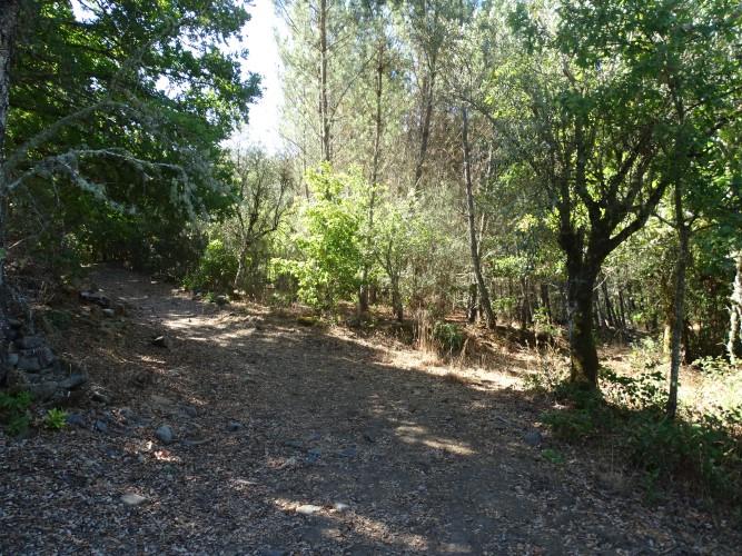 Image No.17-1 Bed Village House for sale