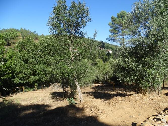 Image No.22-1 Bed Village House for sale