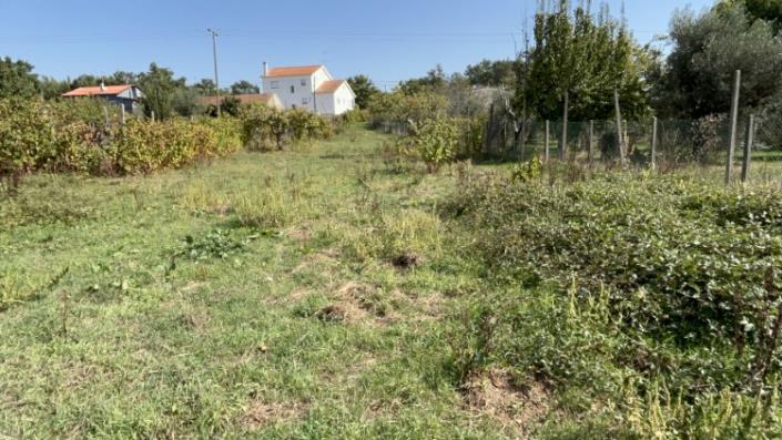 Image No.9-Land for sale