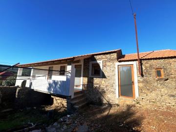 5---1179--NEW---Medium-