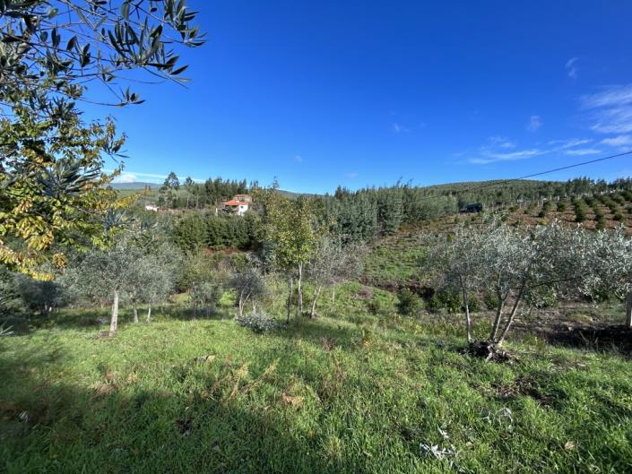 Image No.23-Maison de village à vendre à Góis