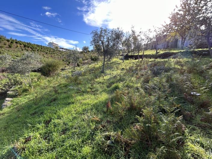Image No.24-Maison de village à vendre à Góis