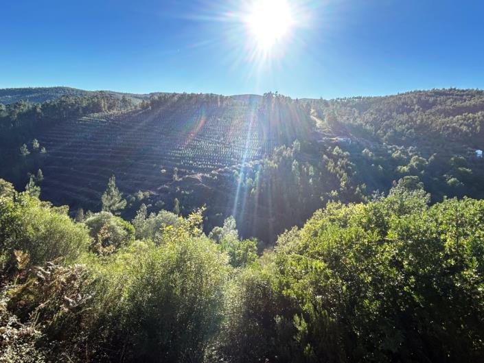 Image No.26-Maison de village à vendre à Góis