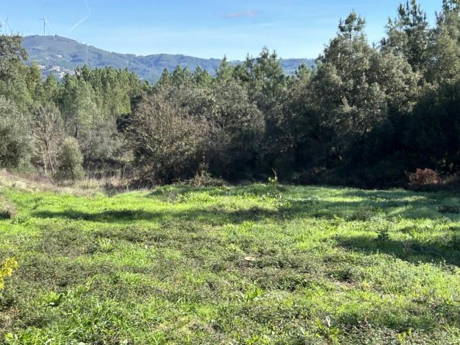 Image No.41-4 Bed Farmhouse for sale