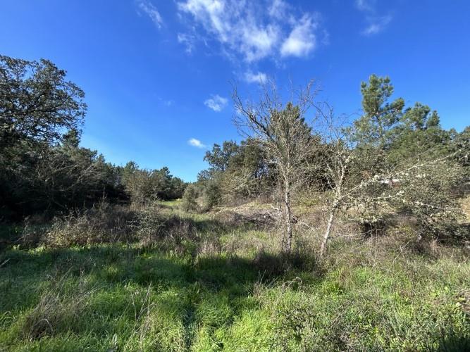 Image No.55-4 Bed Farmhouse for sale