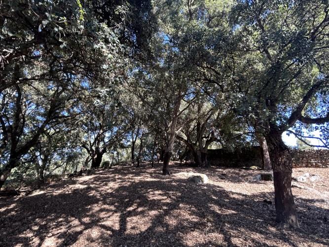 Image No.17-Property for sale