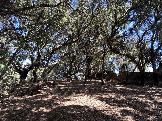 Image No.18-Property for sale