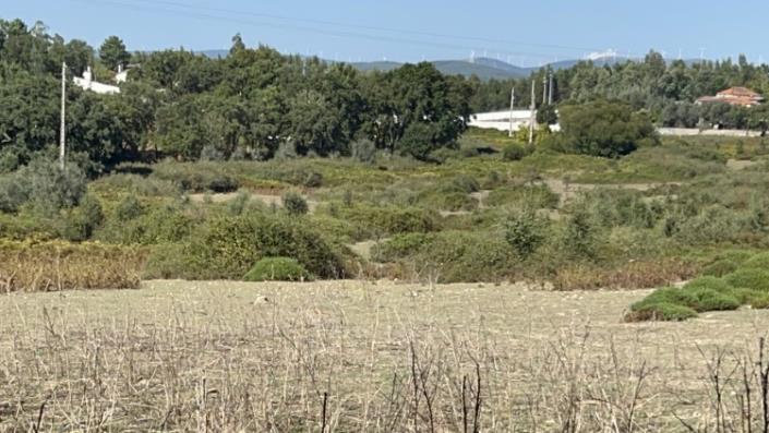 Image No.22-Property for sale