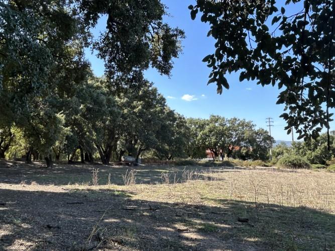 Image No.24-Property for sale