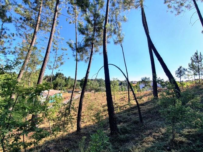 Image No.3-Land for sale