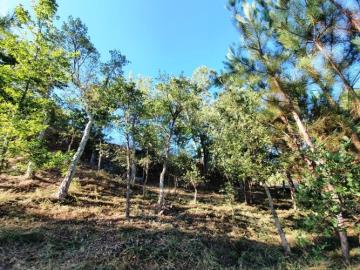 3---1199--NEW---Custom-