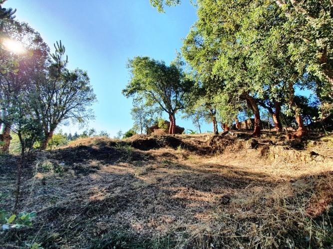 Image No.5-Land for sale