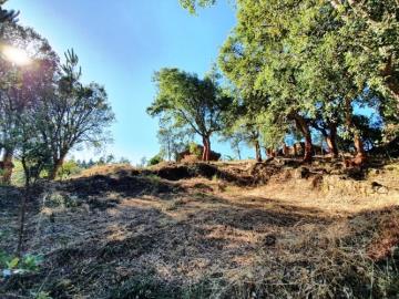 4---1199--NEW---Custom-