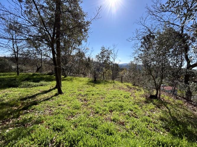 Image No.7-Land for sale