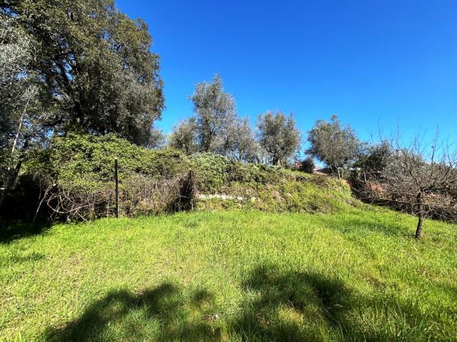 Image No.8-Land for sale