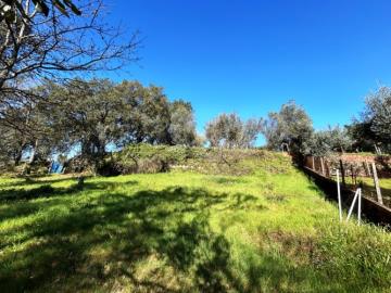 9---1199--NEW---Custom-