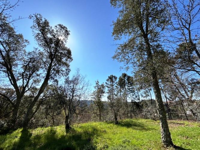 Image No.9-Land for sale