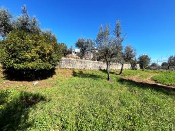 10---1199--NEW---Custom-